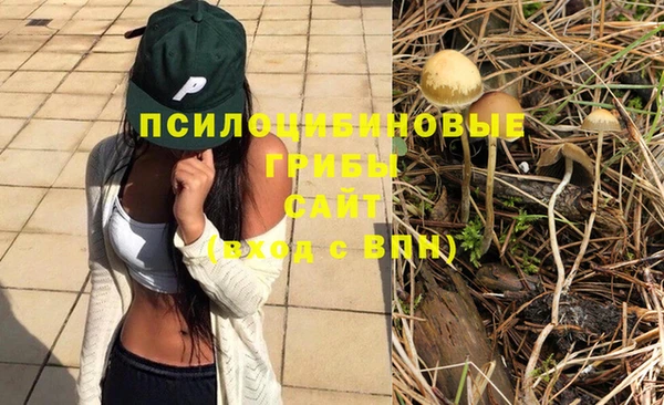 эйфоретик Абдулино