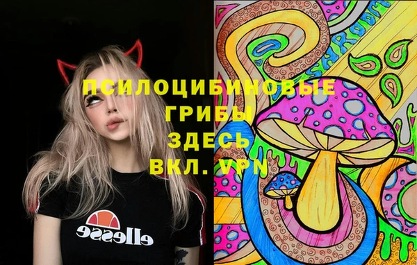 прущая мука Абаза