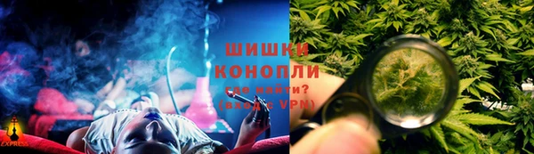 прущие грибы Пыталово