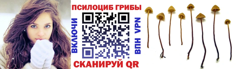 Галлюциногенные грибы мицелий  Туран 